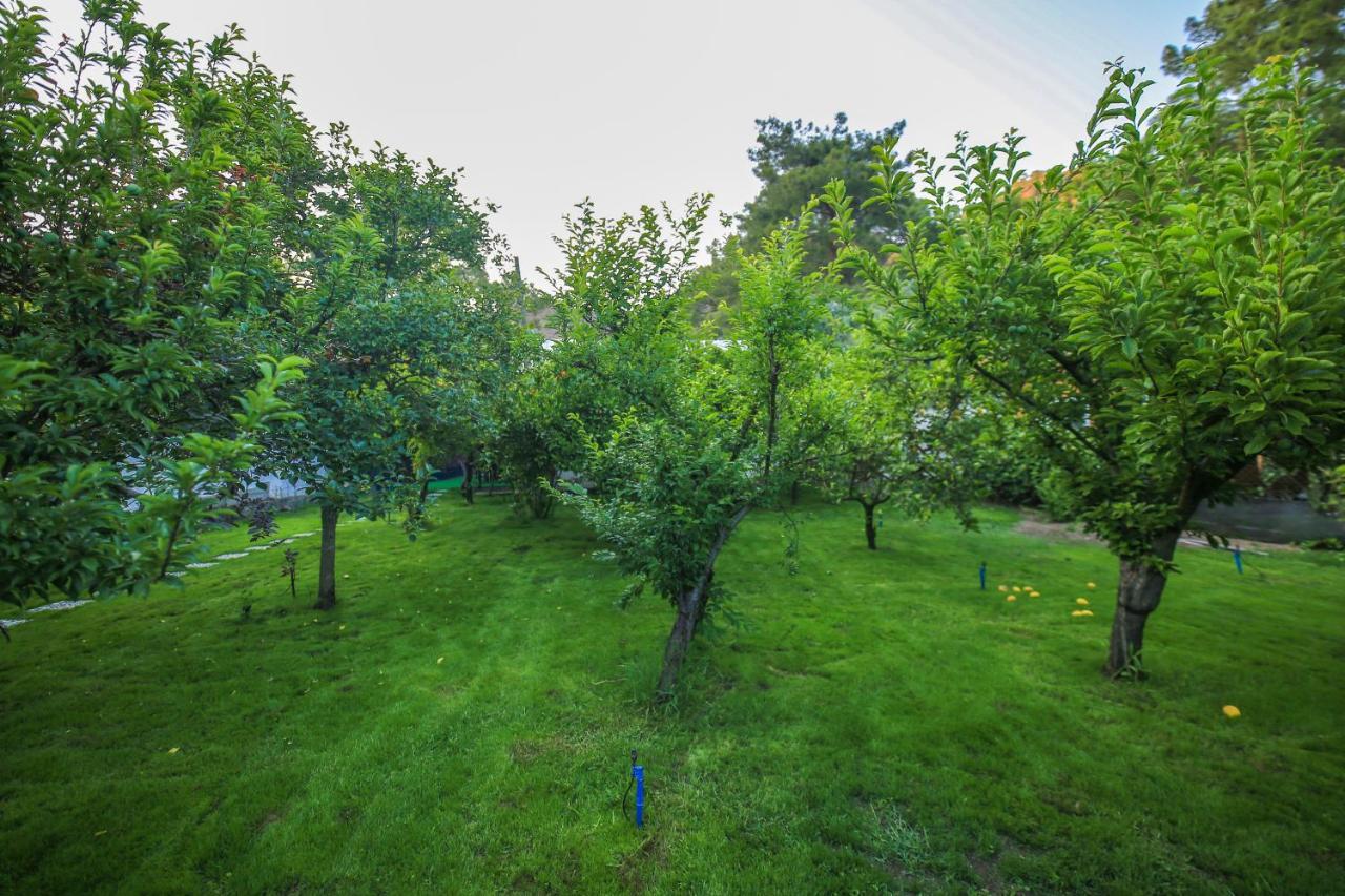 Seker Bungalov Apartment Çıralı Exterior foto