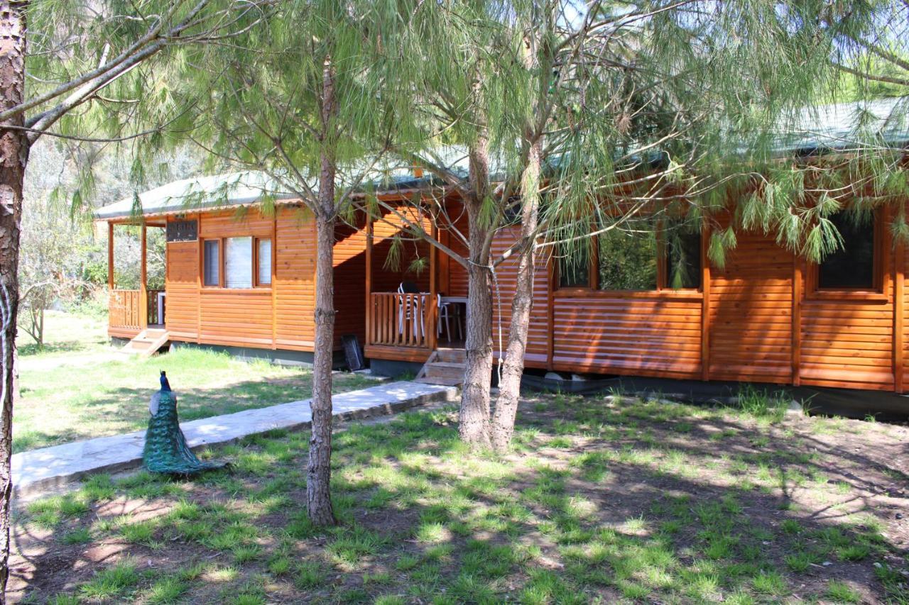 Seker Bungalov Apartment Çıralı Exterior foto